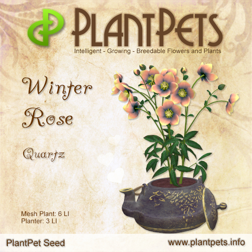 PlantPet Seed [Winter Rose *Quartz*]