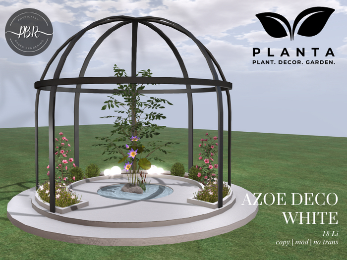 Planta - Azoe Deco White