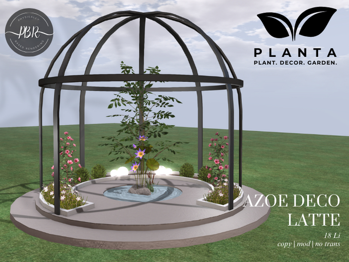 Planta - Azoe Deco Latte