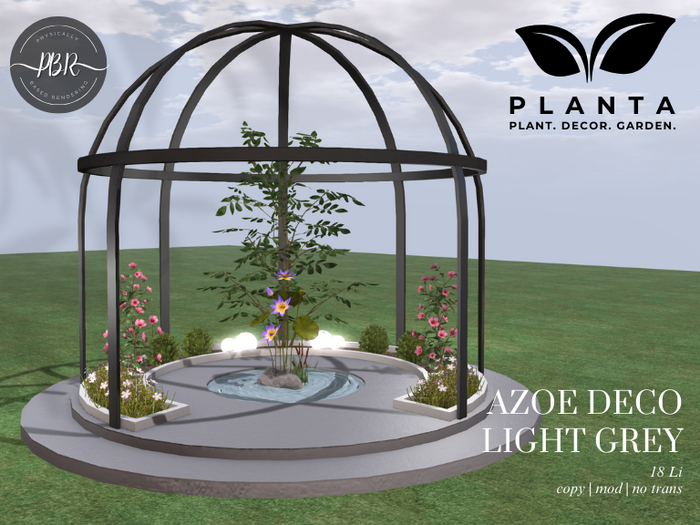 Planta - Azoe Deco Grey