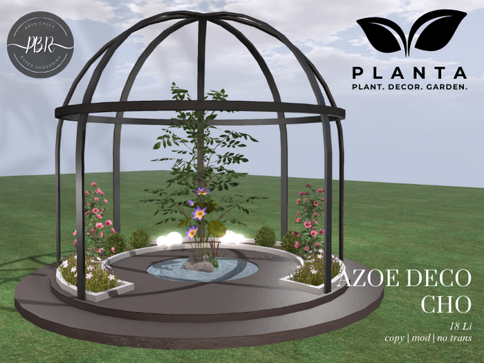 Planta - Azoe Deco Cho
