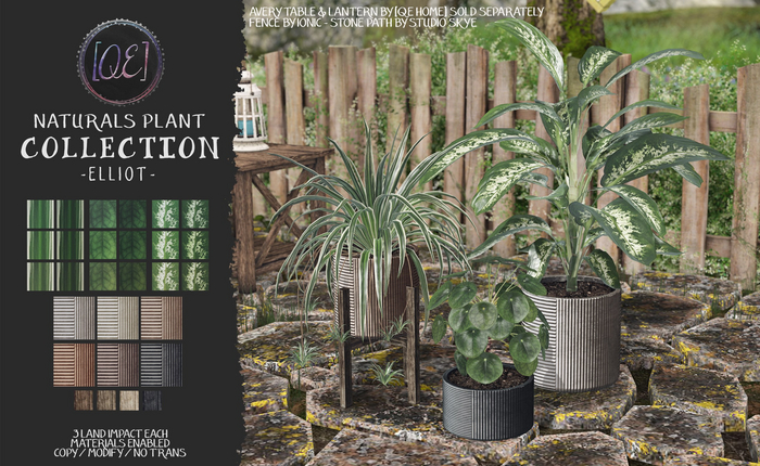 [QE Home] Naturals Plant Collection -Elliot-