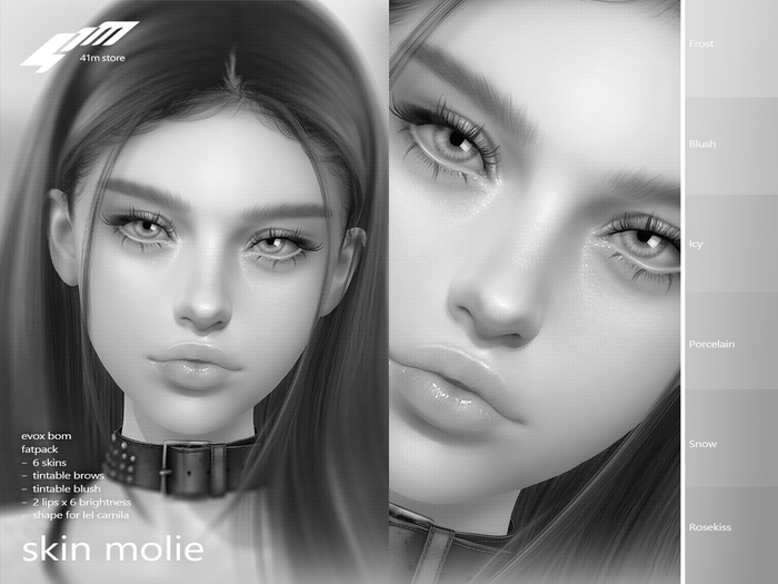 (DEMO) 41m / Skin Molie / EvoX