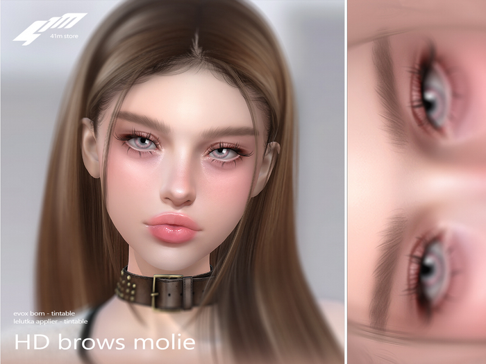 41m / HD Brows Molie / Lelutka EvoX