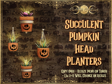 )O( GC: Succulent Pumpkin Head Planters 