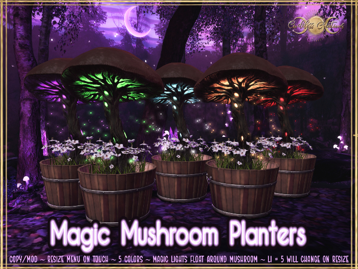 )O( GC: Magic Mushroom Planter 