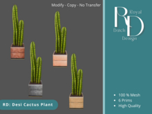 RD: Desi Cactus Plant 
