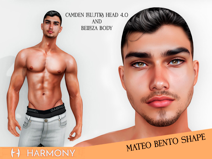 .::HarmonyStore::. Mateo Bento Shape