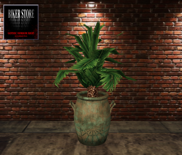 #Potted Sago Palm