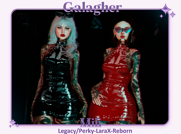 Galagher - Mili Fatpack