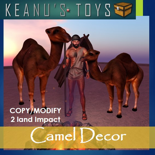 Camel Decor 2 LI