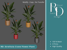 RD: Strelitzia Crane Flower Plant