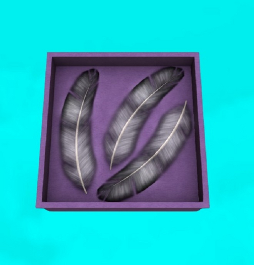 DFS Vday Box of Angel Feathers