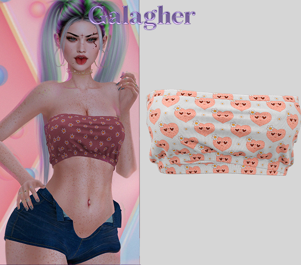 Galagher - Maguh Top Edition 10