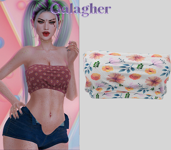 Galagher - Maguh Top Edition 4