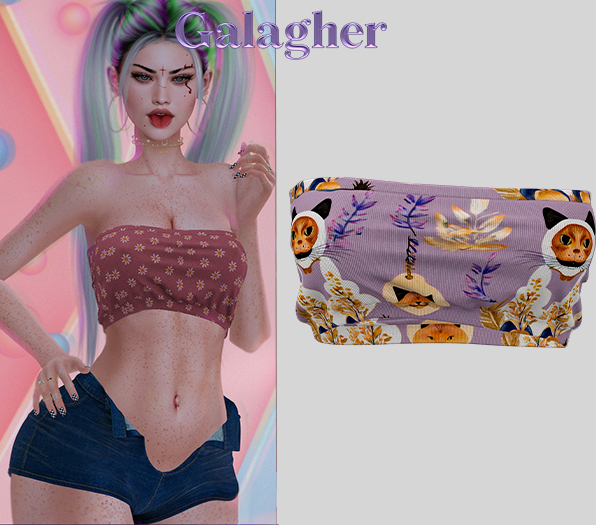 Galagher - Maguh Top Edition 3