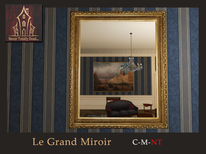 Le Grand Miroir
