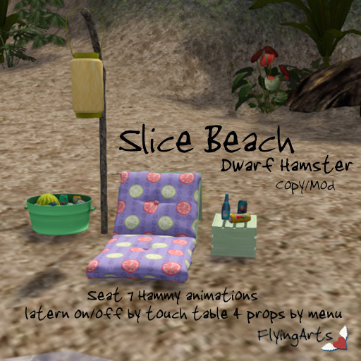 !FA! Slice Beach Set Hammy