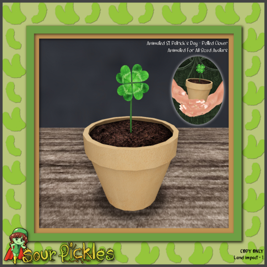 [SP] St. Patricks Day Potted Clover
