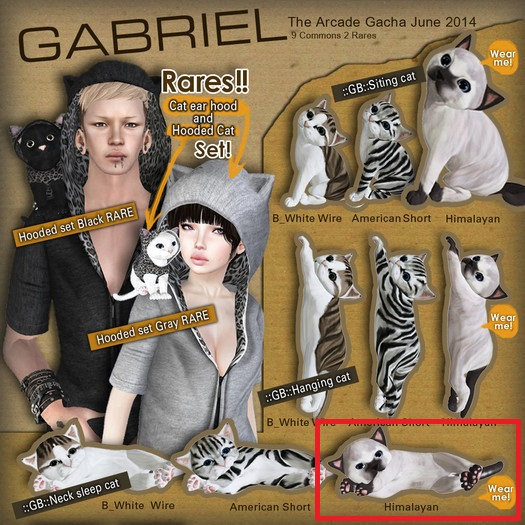 ::GB::Neck sleep cat / Himalayan