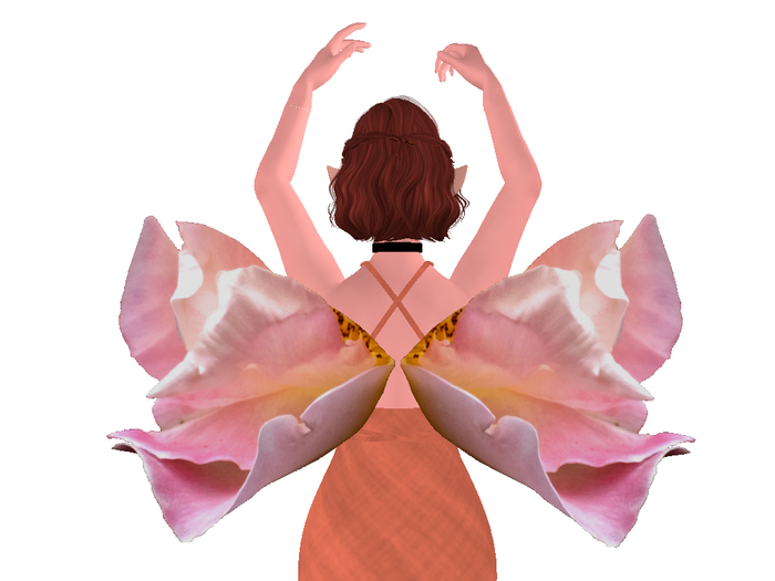 Pink Azalea Wings