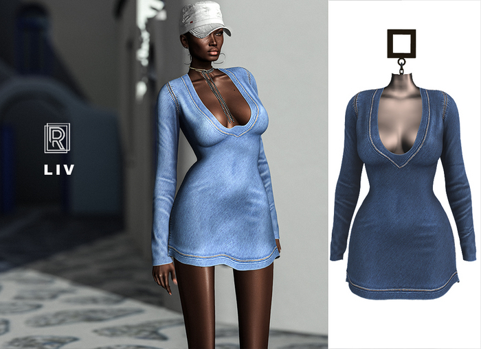 RAPTURE-Dress Liv-Navy