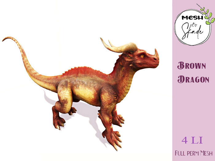 MBS - Brown Dragon  FP