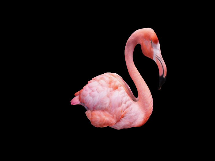 HB: Laying Flamingo Statue FuLL PERM