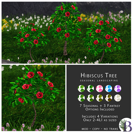 Bella Botanicals - Hibiscus Tree Red (add me)