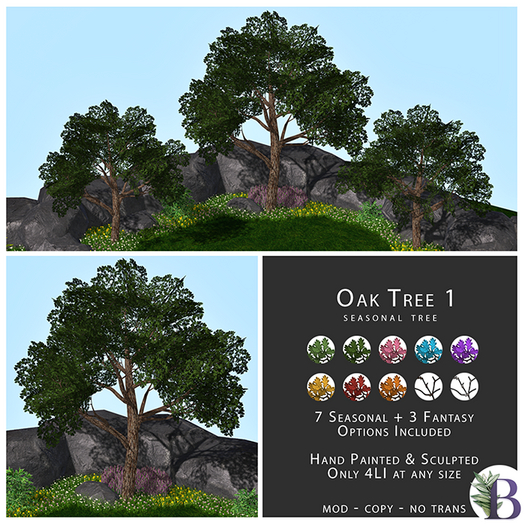 Bella Botanicals - Oak Tree 1 (add me)