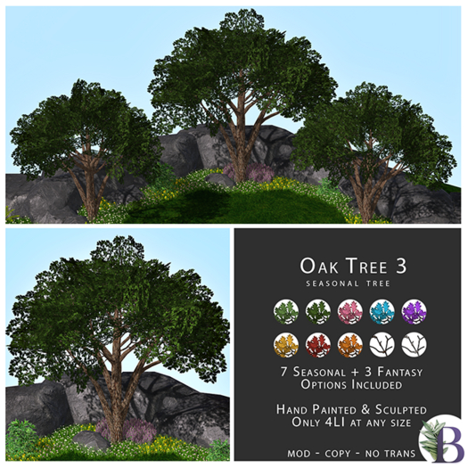 Bella Botanicals - Oak Tree 3 (add me)