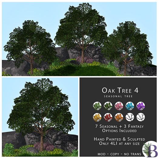 Bella Botanicals - Oak Tree 4 (add me)
