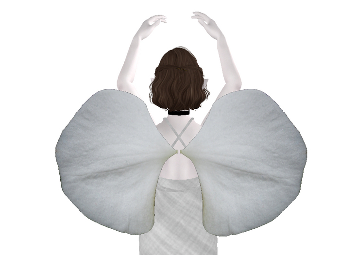 Easter Orchid Wings