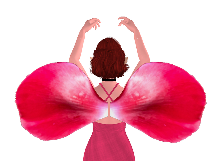 Carnation Wings