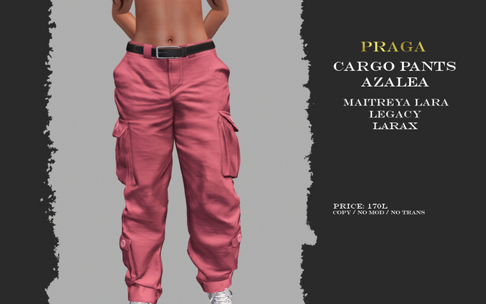 Praga Cargo pants new - Azalea