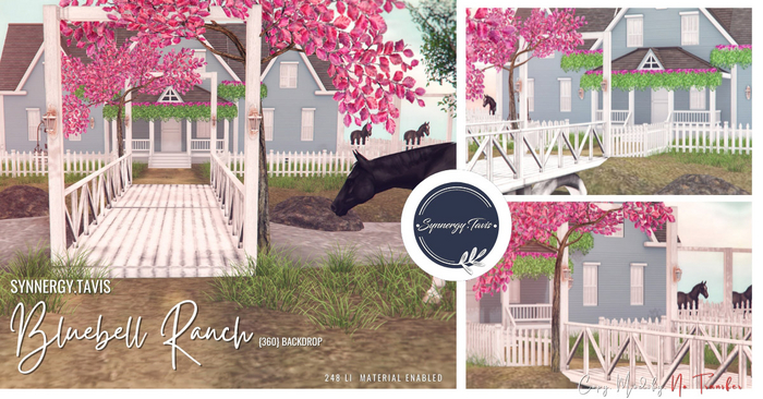 SYNNERGY.TAVIS//Bluebell Ranch {360} Backdrop