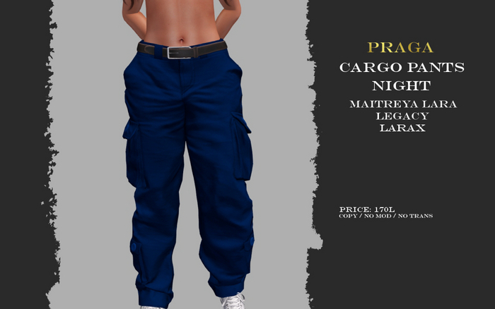 Praga Cargo pants new - Night