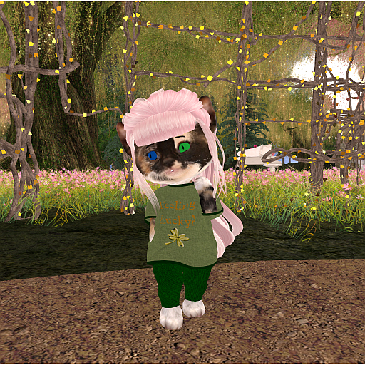Dinkie - St. Patrick's Day Gift
