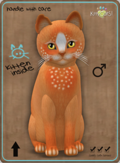 KittyCatS Box - Confetti - OrangeBerry Male