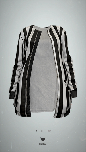 -Pixicat- Tyler Bomber Jacket (Stripe)