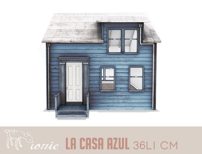 13 ionic : La casa azul - Rare