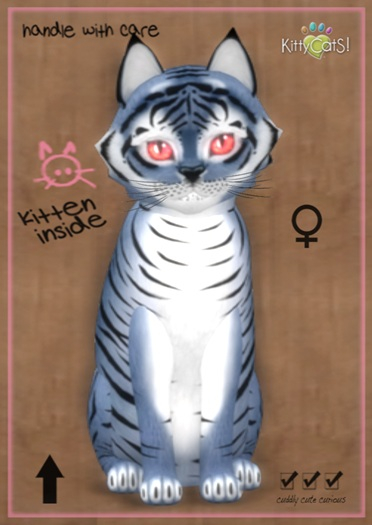 MEGAPUSS FLOOFY: KittyCatS Box - Tiger! - Dusky Winkle - MegaPuss Floofy