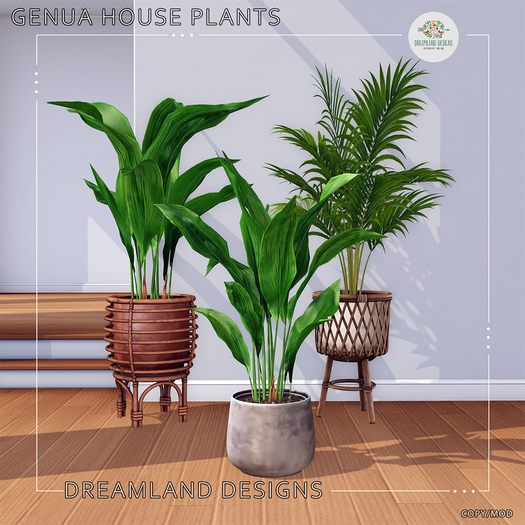 DD Genua House Plant Set