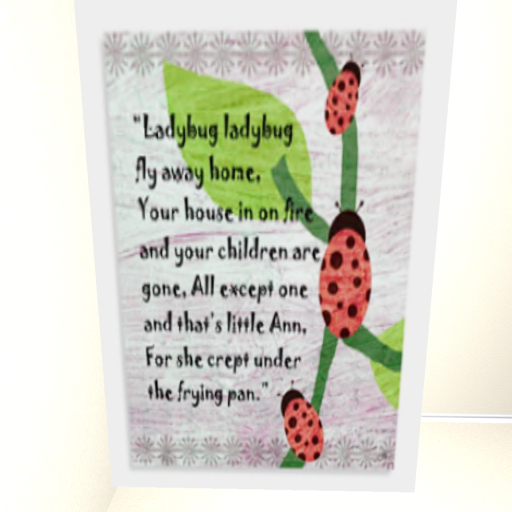 BO-Lady Bug Ladybug