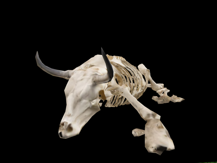 HB: Cow Skeleton prop FuLL PERM
