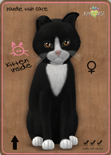 KittyCatS Box - Chateau Cat - Black & White No. 3