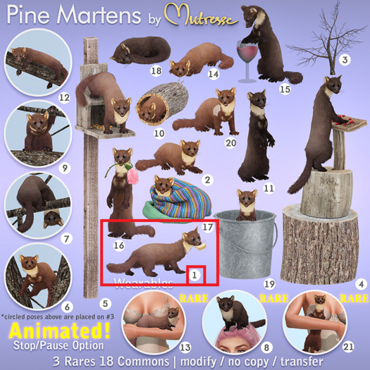 Mutresse - Pine Martens - 1