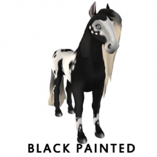 Black PaintedF