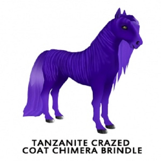 Tanzanite Crazed Coat ChimeraF