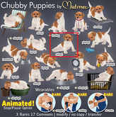 Mutresse-Sitting2-Chubby Puppies